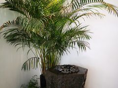 大堂-将相和·海鲜蒸饺大连菜