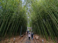 -竹泉村旅游度假区