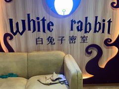-白兔子密室(长寿路店)