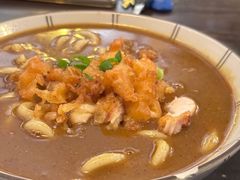 咖喱乌冬面-金龙咖喱