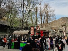 -古北烤梨