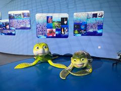 -泉城欧乐堡海洋极地世界