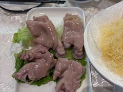 -丁老爷子苏香圆