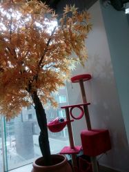 -M Hair造型