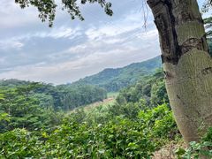 -阳台山森林公园
