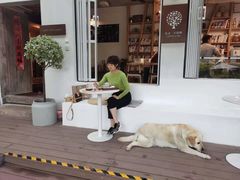 -Cafe In Little Forest