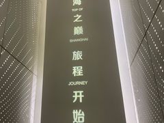 -上海中心大厦