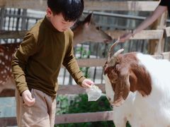 -捞沙巷