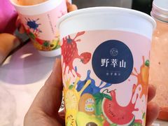 -野萃山·潮汕厚果汁(十亩地店)