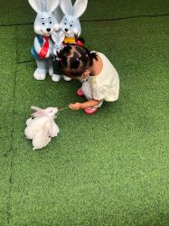 -萌宠亲子动物乐园(槐房万达店)