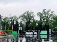-大槐树寻根祭祖园