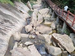 -广州白江湖森林公园