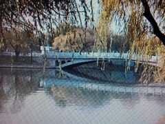 android_upload_pic-沈阳南湖公园