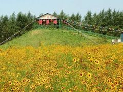 滑草场-北纬44度·金珠花海休闲农业旅游景区
