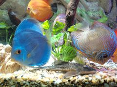 -上海海洋水族馆