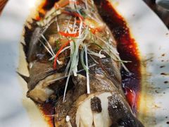-京皇十二道天津菜(蒲黄榆店)
