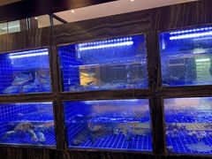 水产区-院里寻菜·精致庭院菜(观沙岭店)