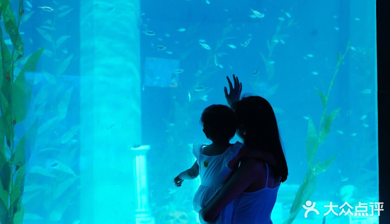 青岛｜盛夏的夜晚✨来一场海底之旅🐳✨
