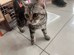 -纳吉亚猫专科动物医院博雅分院