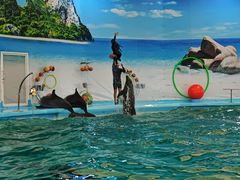 -尼莫海豚馆
