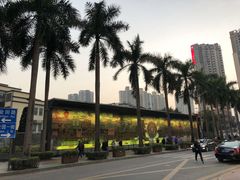 -水围村