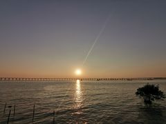 -宝安西湾红树林湿地公园