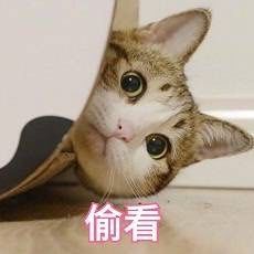 -曹祥泰(解放路店)