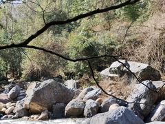 -石台牯牛降景区