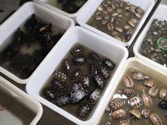 -华声天桥民俗文化园