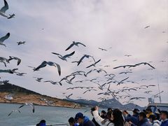 -海驴岛(荣成市)