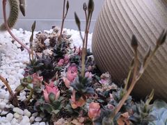 -街角等你.大连海鲜烧烤.经典铁板海鲜串(西安路店)