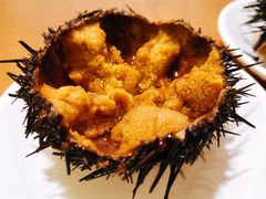 活海胆-海胆小馆(春柳店)