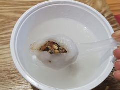 -海丝金凤(金鱼店)