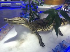 -澜悦港海鲜体验主题餐厅