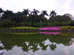 景点-南宁南湖公园