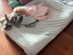 -爱侣宠医·鹦鹉专科·小型哺乳类·异宠专科(灵石路店)