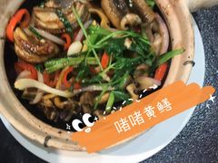 -飞尝蚝·顺德菜·鱼生(顺德总店)