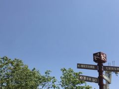 -天适樱花悠乐园