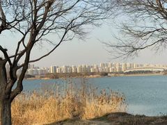 -贡湖湾湿地公园