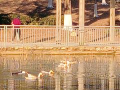 -白塘生态植物园