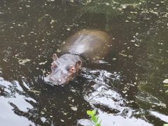 -济南野生动物世界