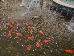 -碧中海汤泉汗蒸酒店