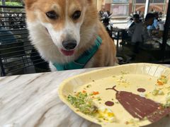 -the rug 飞毯 (朝阳公园店)