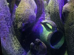 -太平洋海底世界