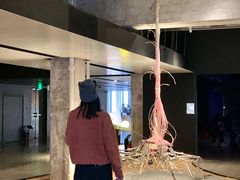 -现代汽车文化中心 Hyundai Motorstudio Beijing