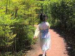 -铁山坪森林公园