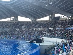 -上海海昌海洋公园