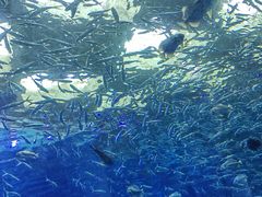 -波塞冬旅游度假区