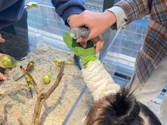 -怪兽屋·羊驼·猫咖·狗咖(俊华广场店)