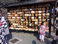-有栖山 清光院 清水寺